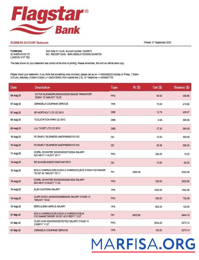 Printable Flagstar Bank organization account statement Word and PDF template